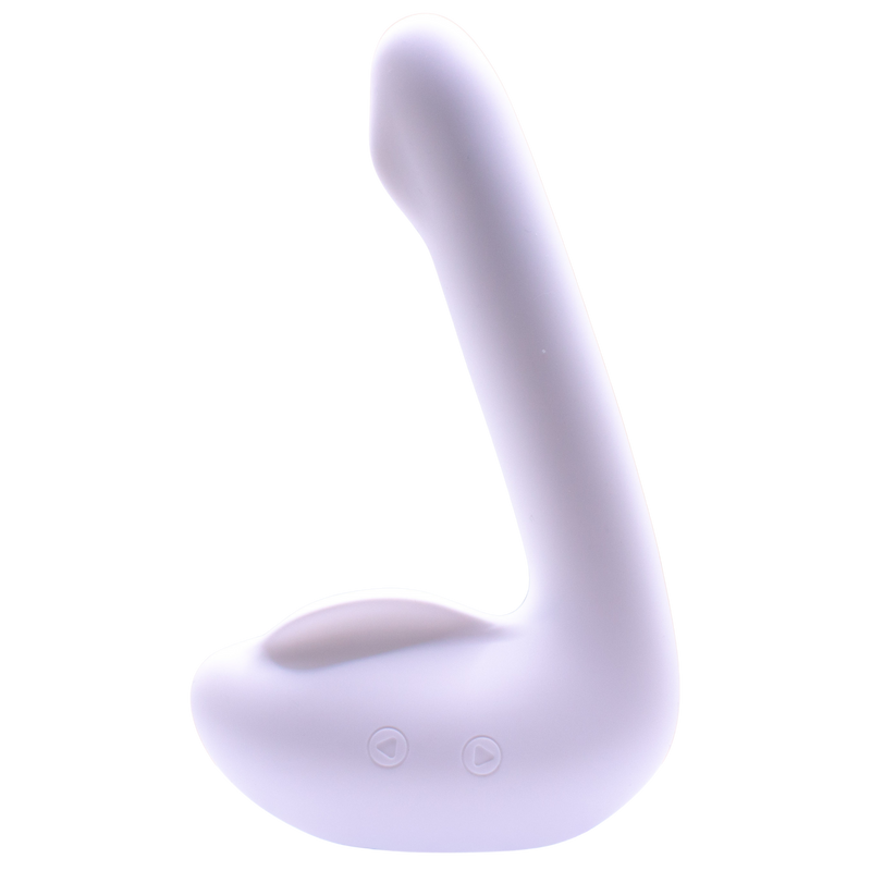 Leda The Swan anatomy