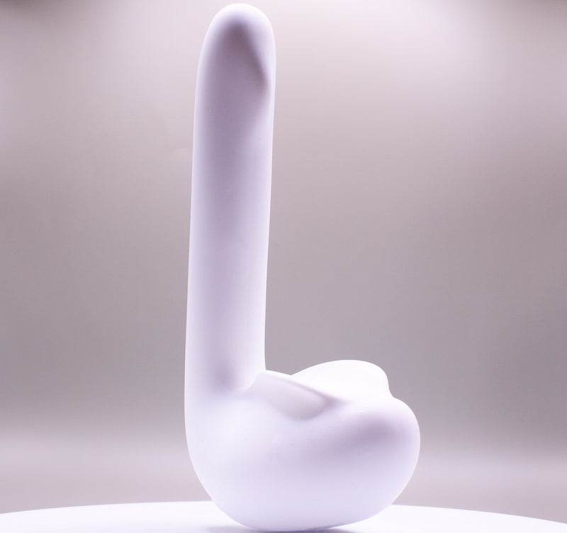 Led The Swan — image 2