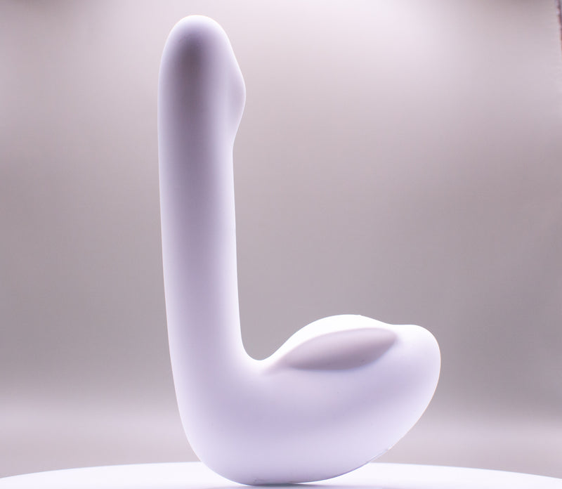 Led The Swan — image 3