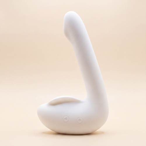 Leda The Swan — huxi