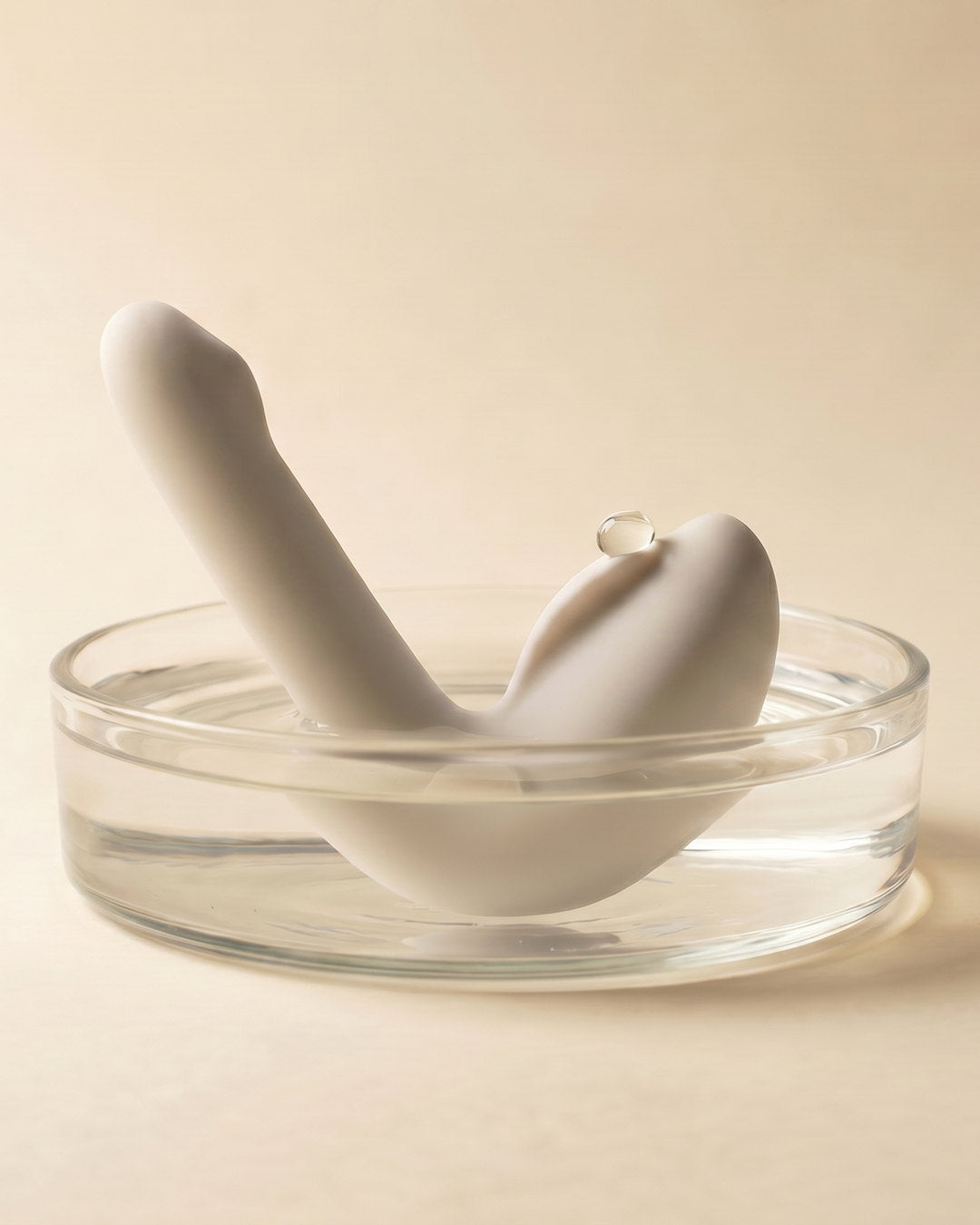 Leda The Swan resting in a shallow glass dish of water, a single droplet on its rim
